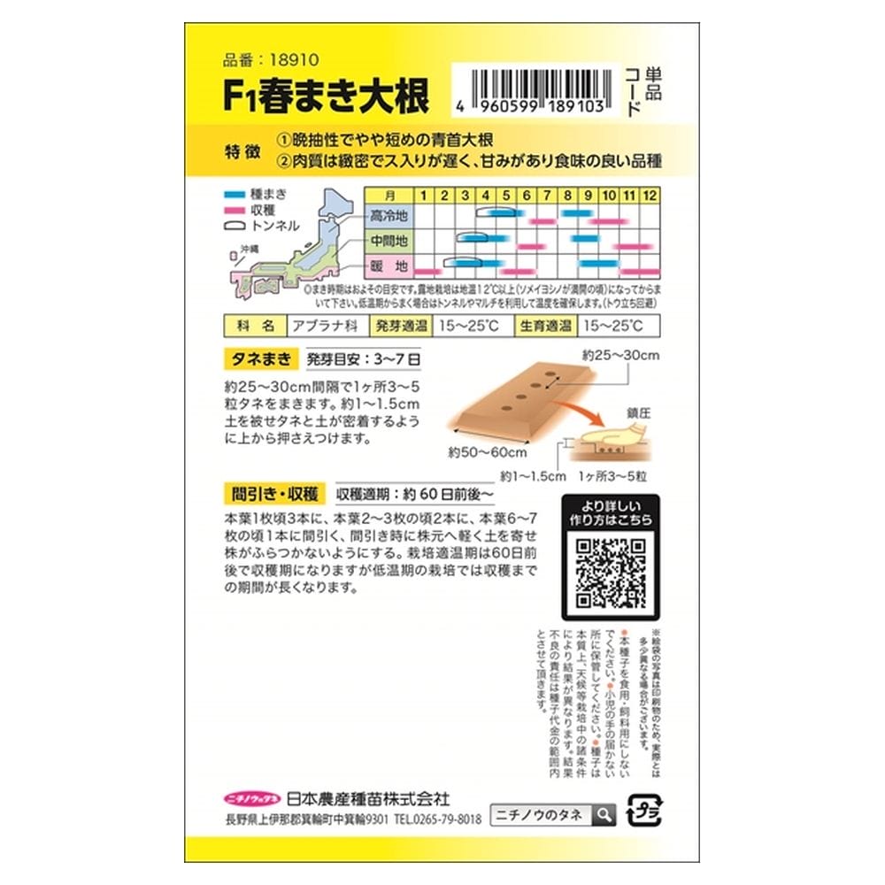 大根 春まき大根(青首・総太形) 1