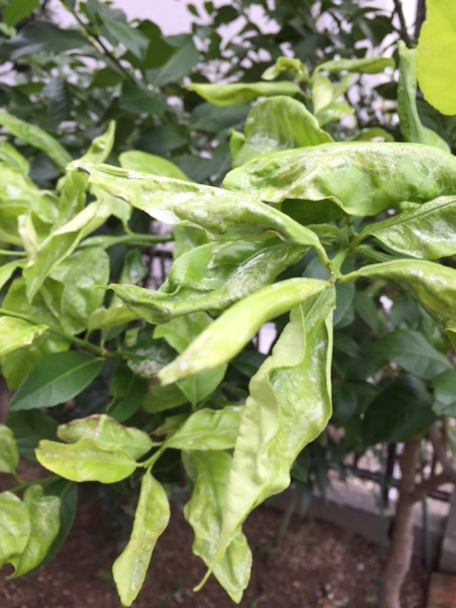 8F669EAF-863C-4DB2-9447-6A9B139D24F9