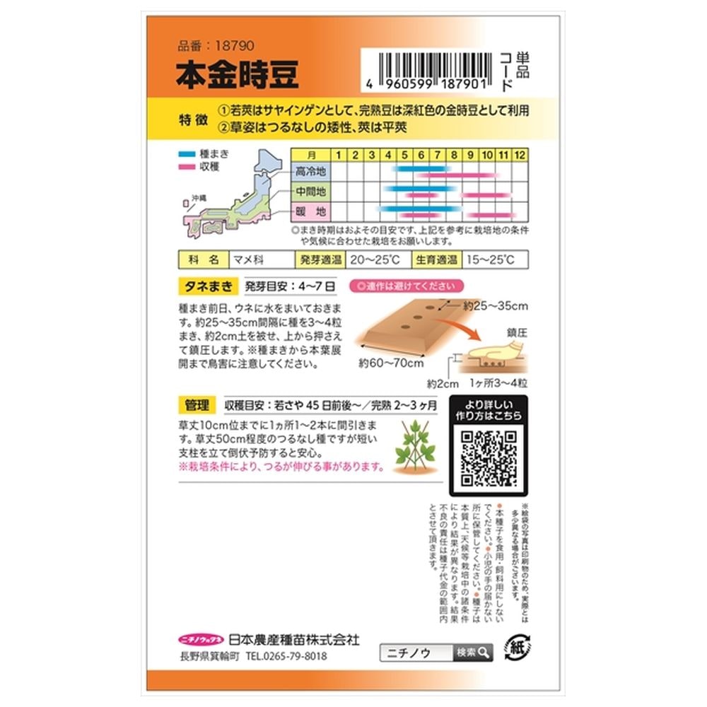 いんげん 本金時豆 1