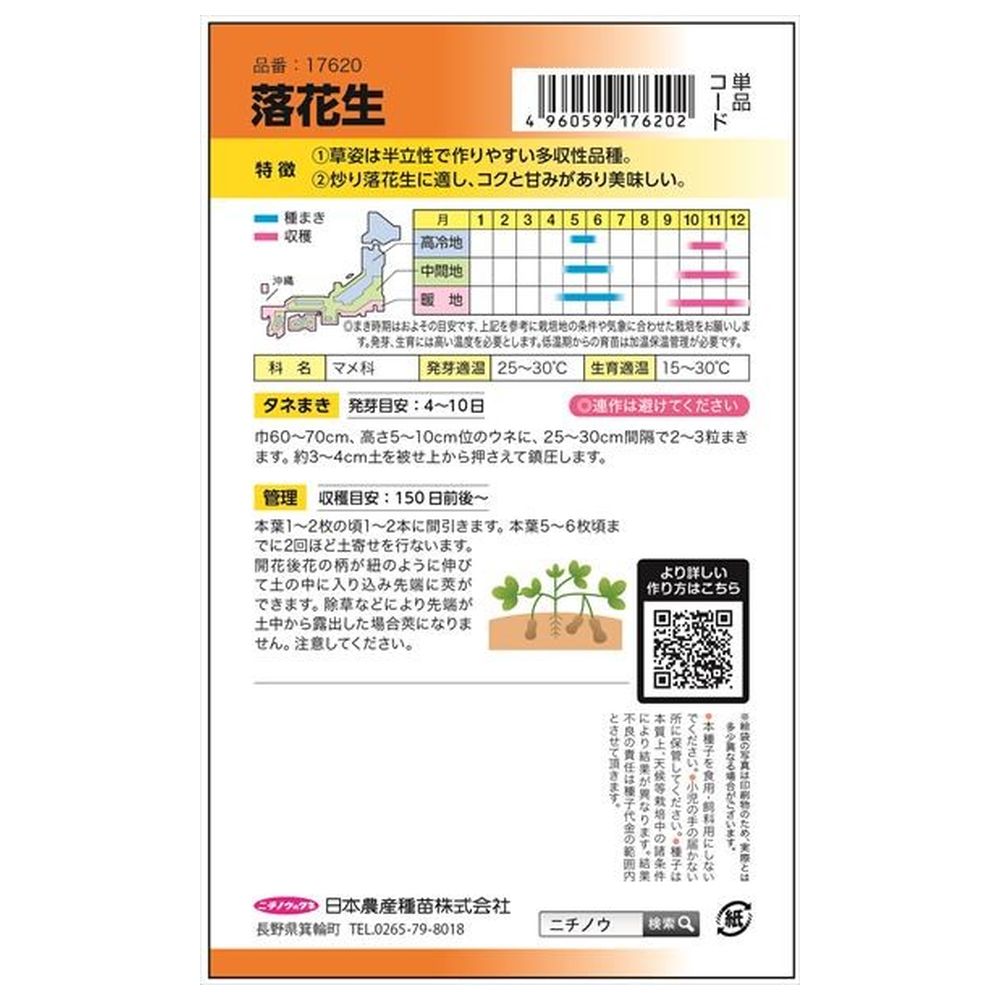 落花生 落花生 1