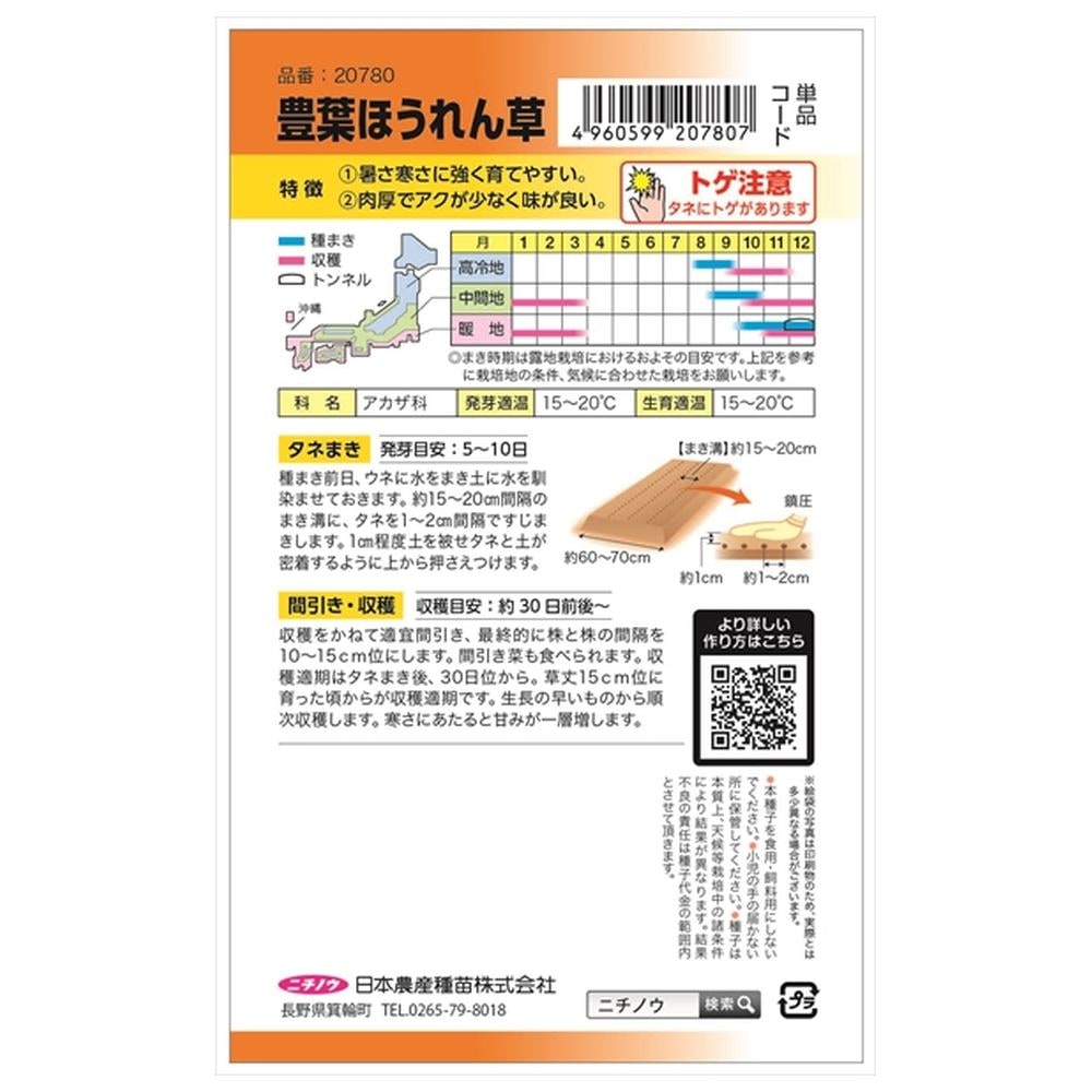 ホウレンソウ 豊葉ほうれん草 1