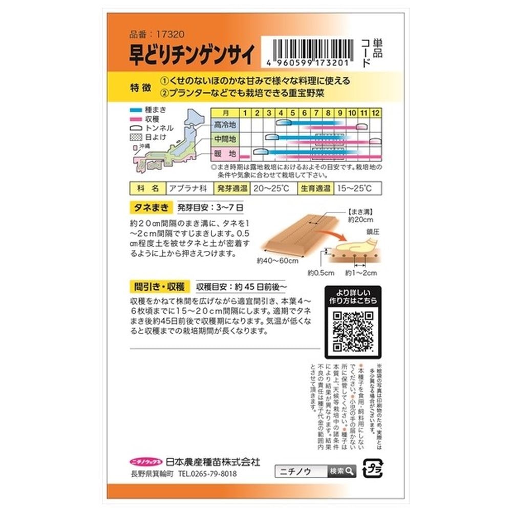 チンゲンサイ 早どりチンゲンサイ(平成5号) 1
