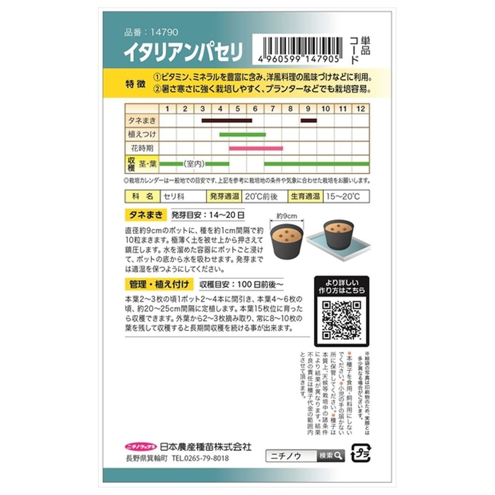 パセリ イタリアンパセリ 1