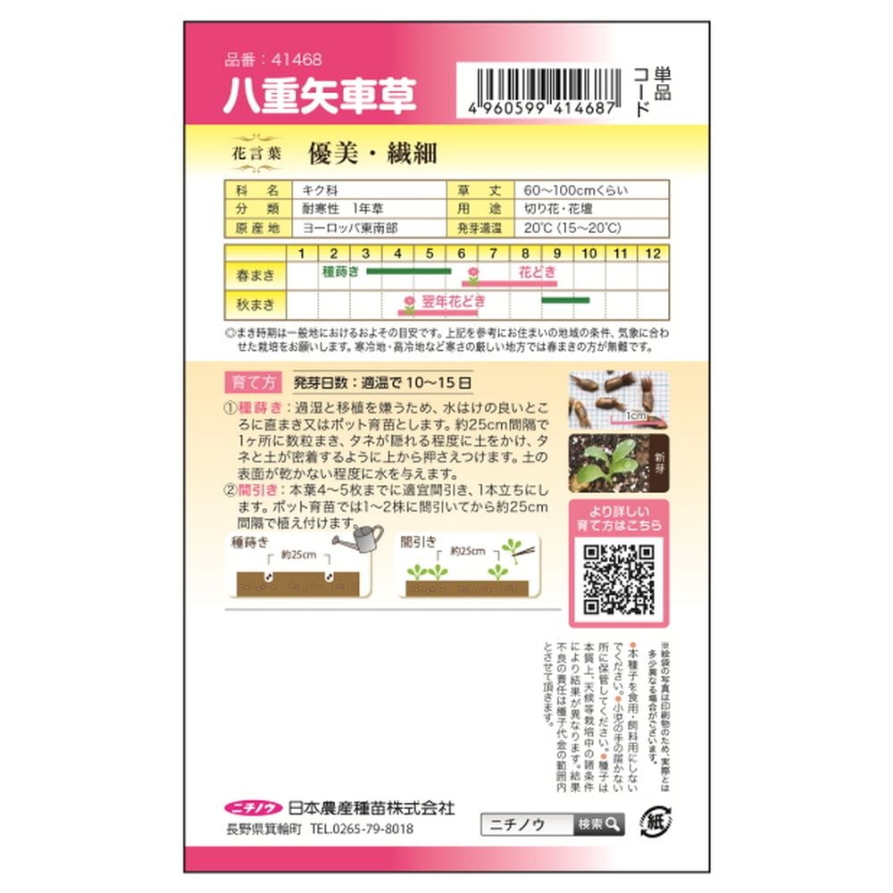 ヤグルマギク 八重矢車草 1