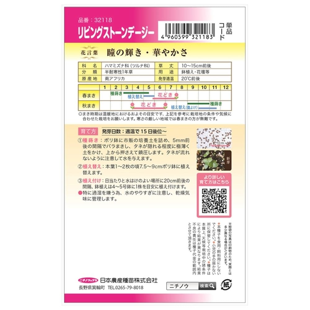 リビングストンデージー リビングストンデージー 1