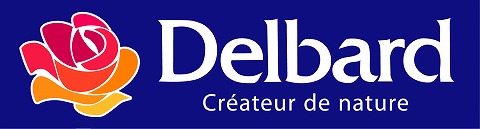 バラ グランノール 1