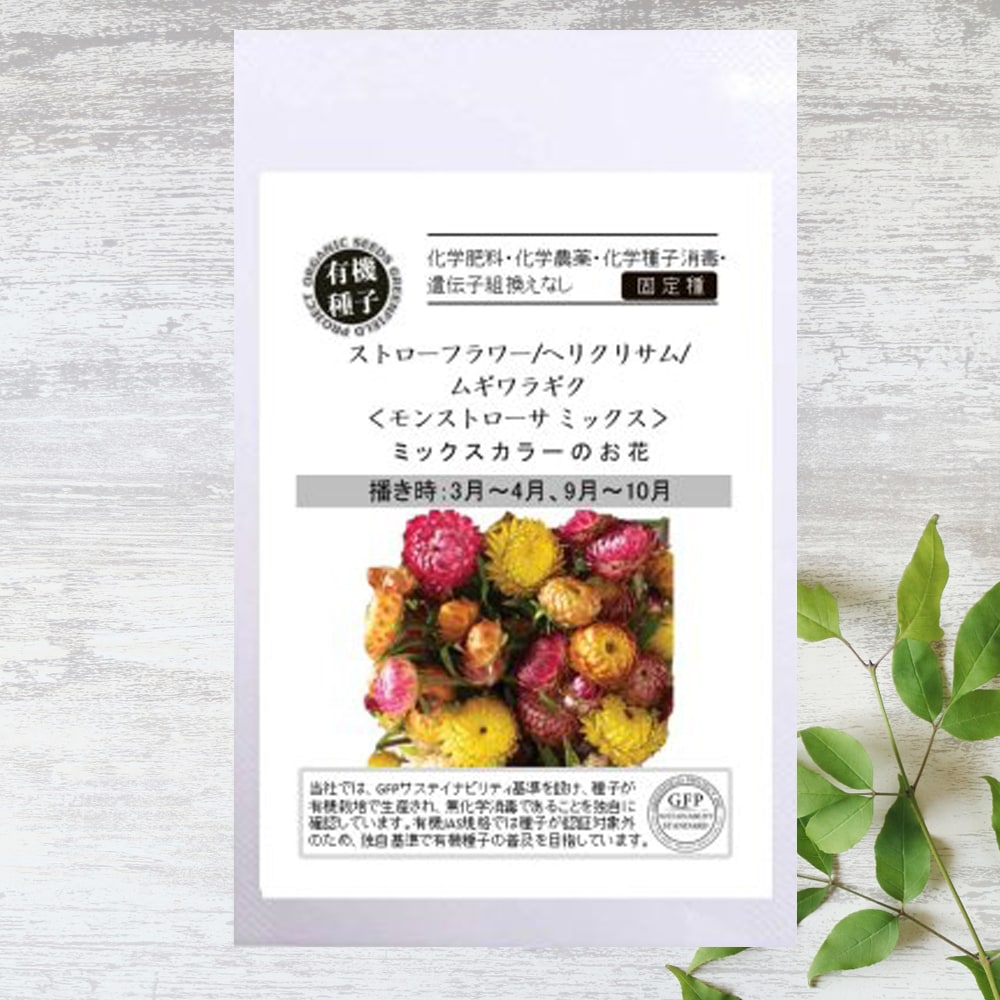 ヘリクリサム モンストローサ ミックス 