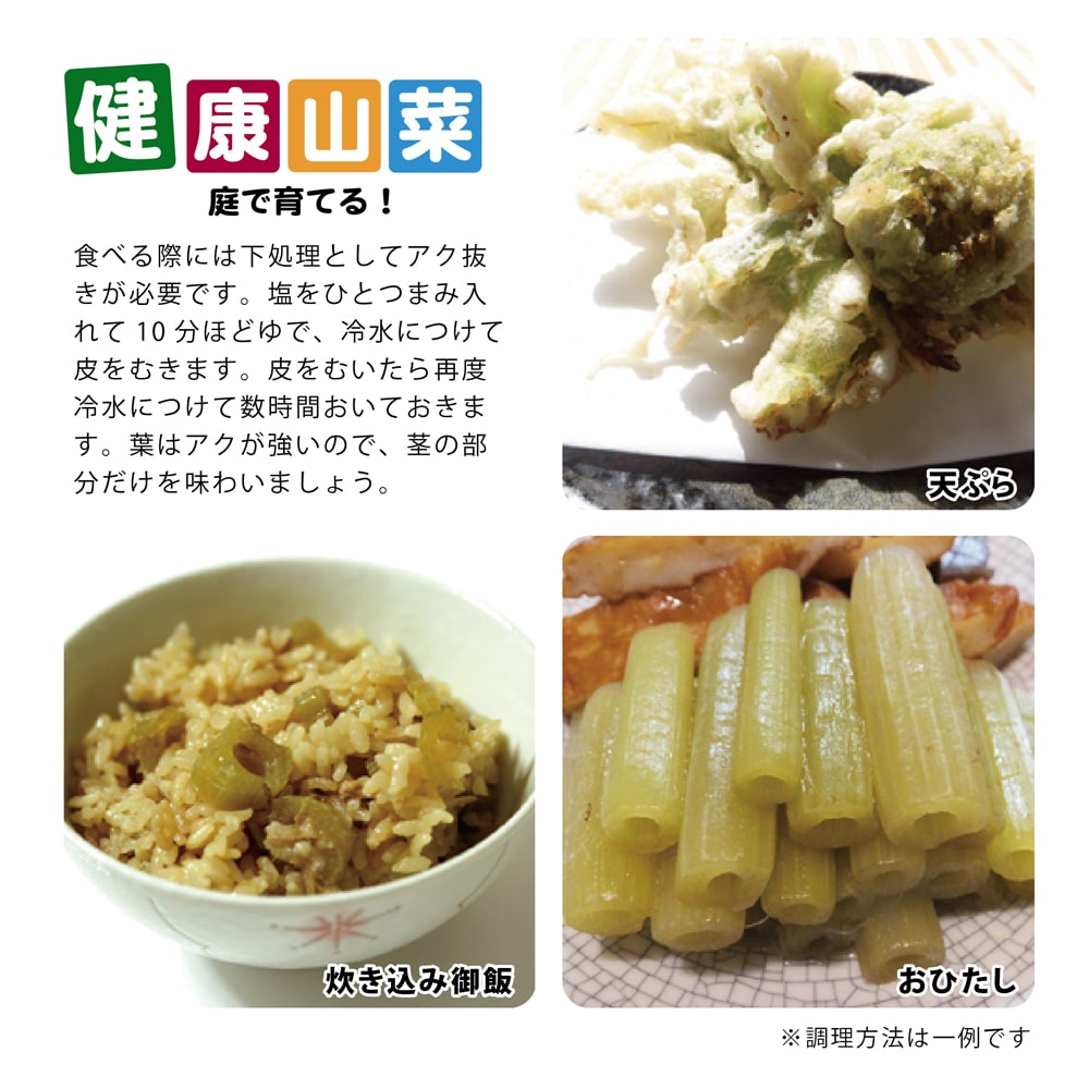 秋田ぶき 秋田ぶき 2