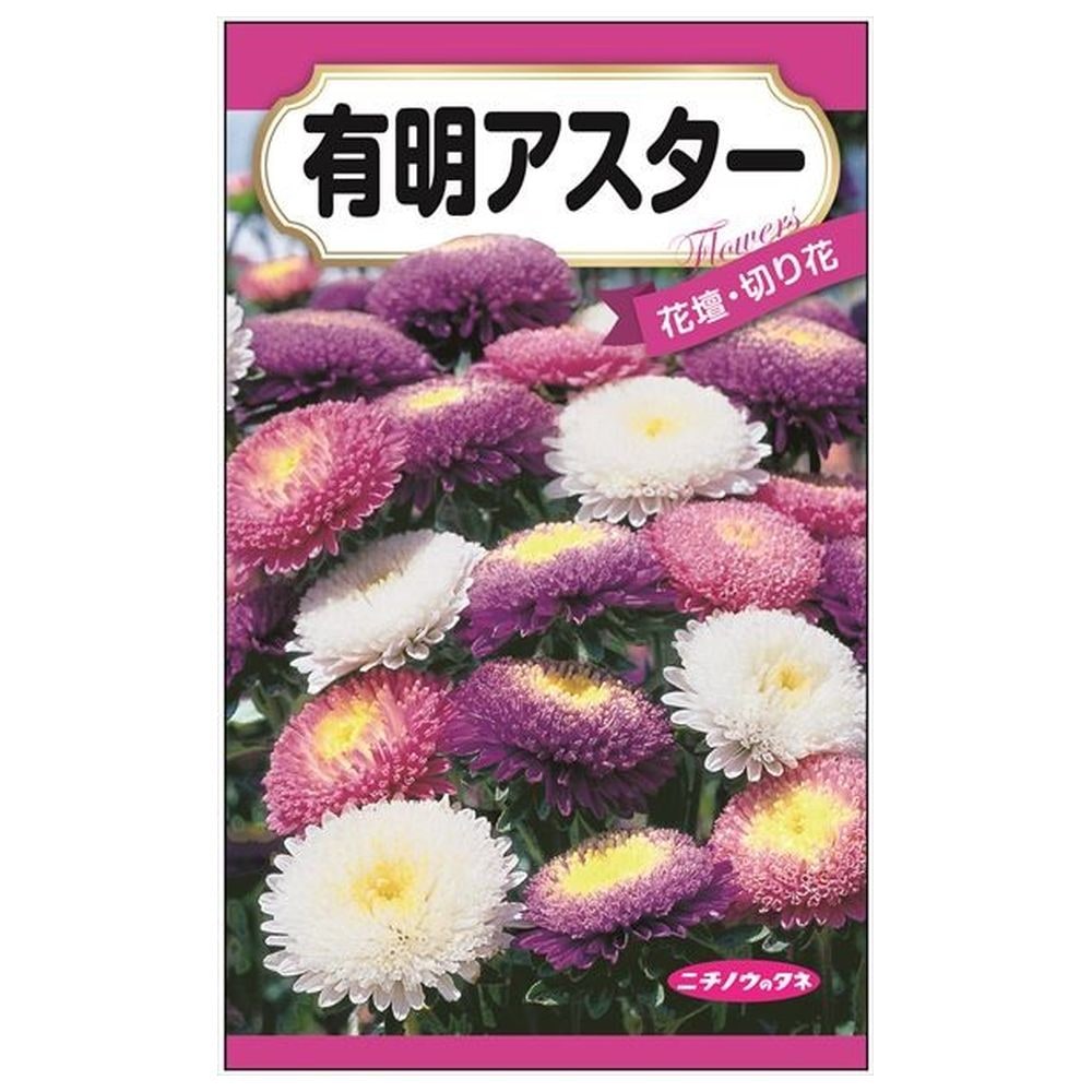 150円花種子 有明アスター 