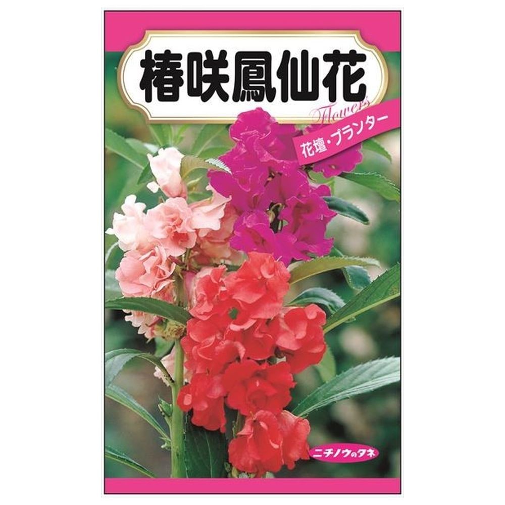 150円花種子 椿咲鳳仙花