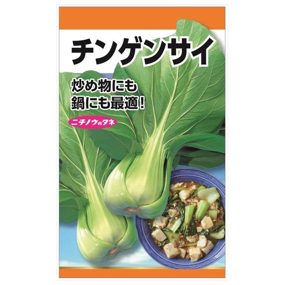 チンゲンサイ チンゲンサイ