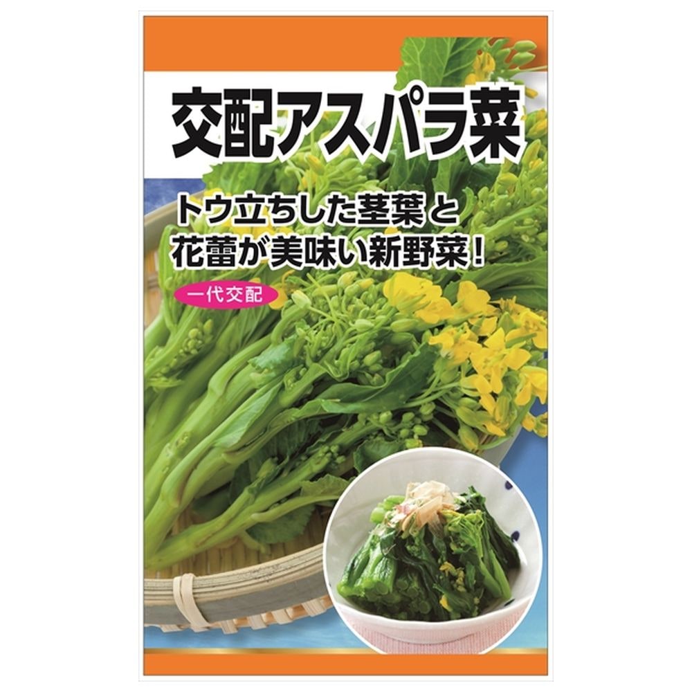 アスパラ菜 アスパラ菜 