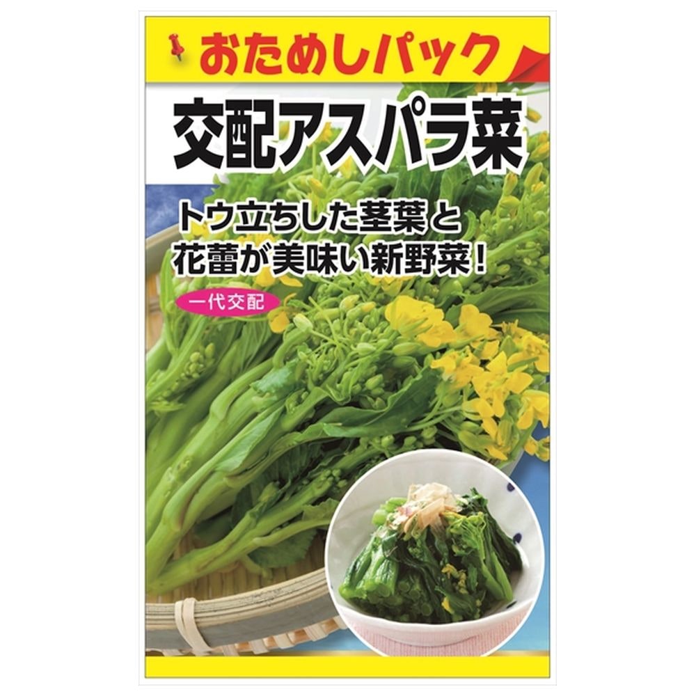 アスパラ菜 アスパラ菜 