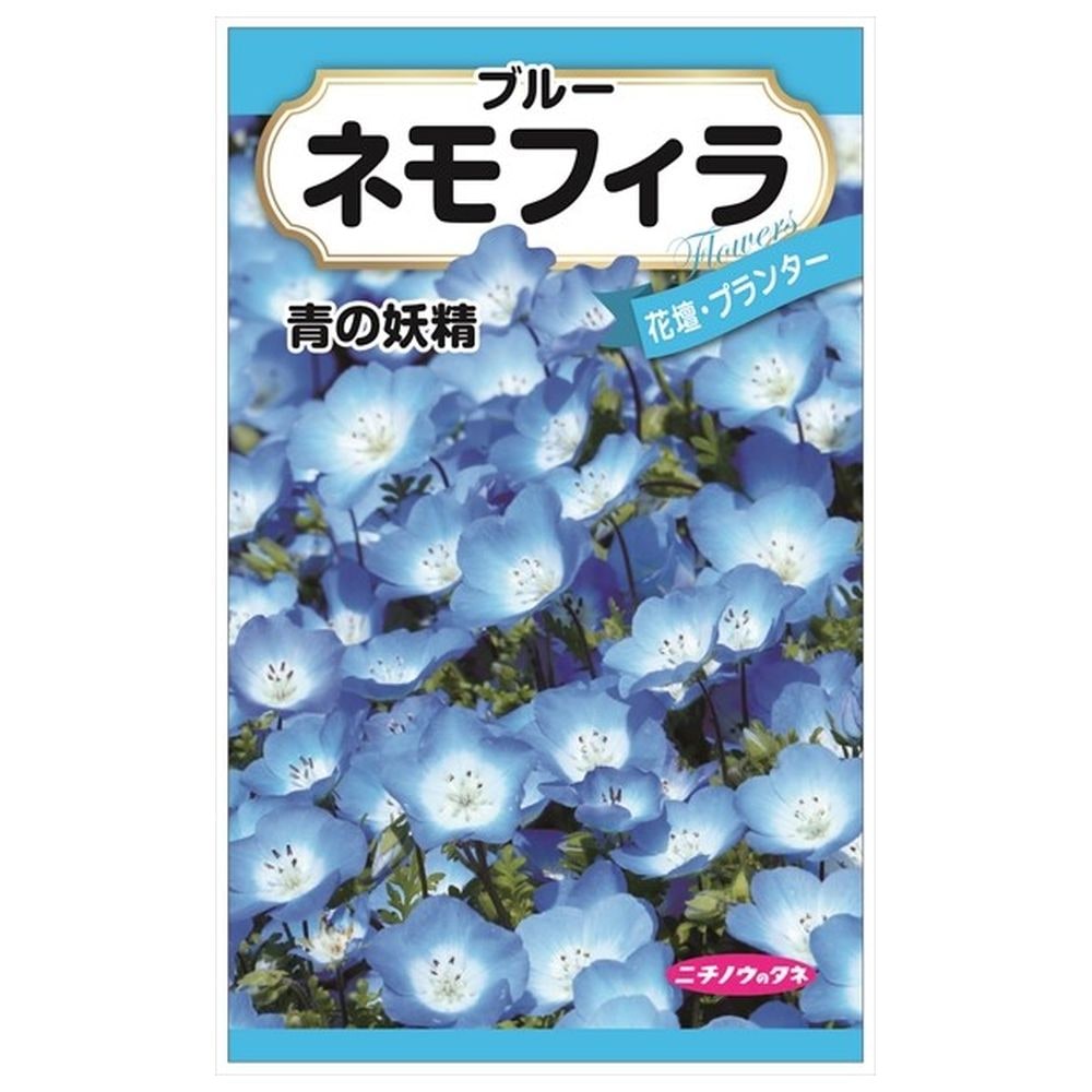 ネモフィラ ネモフィラ 