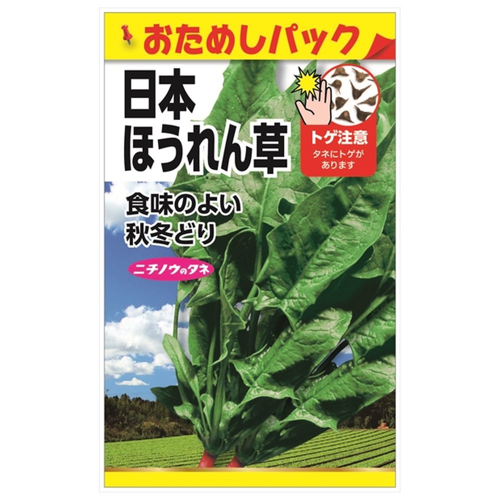 ホウレンソウ 日本ほうれん草 