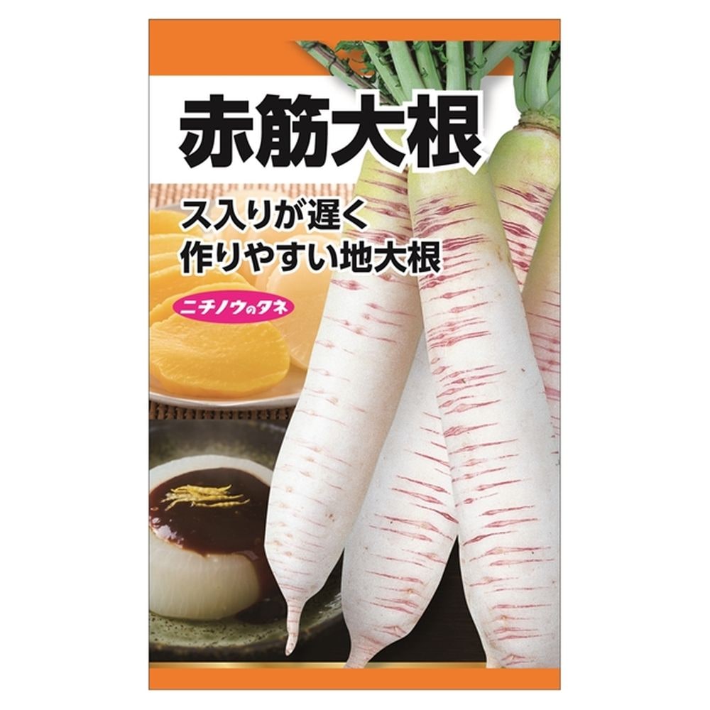 大根 赤筋大根 1