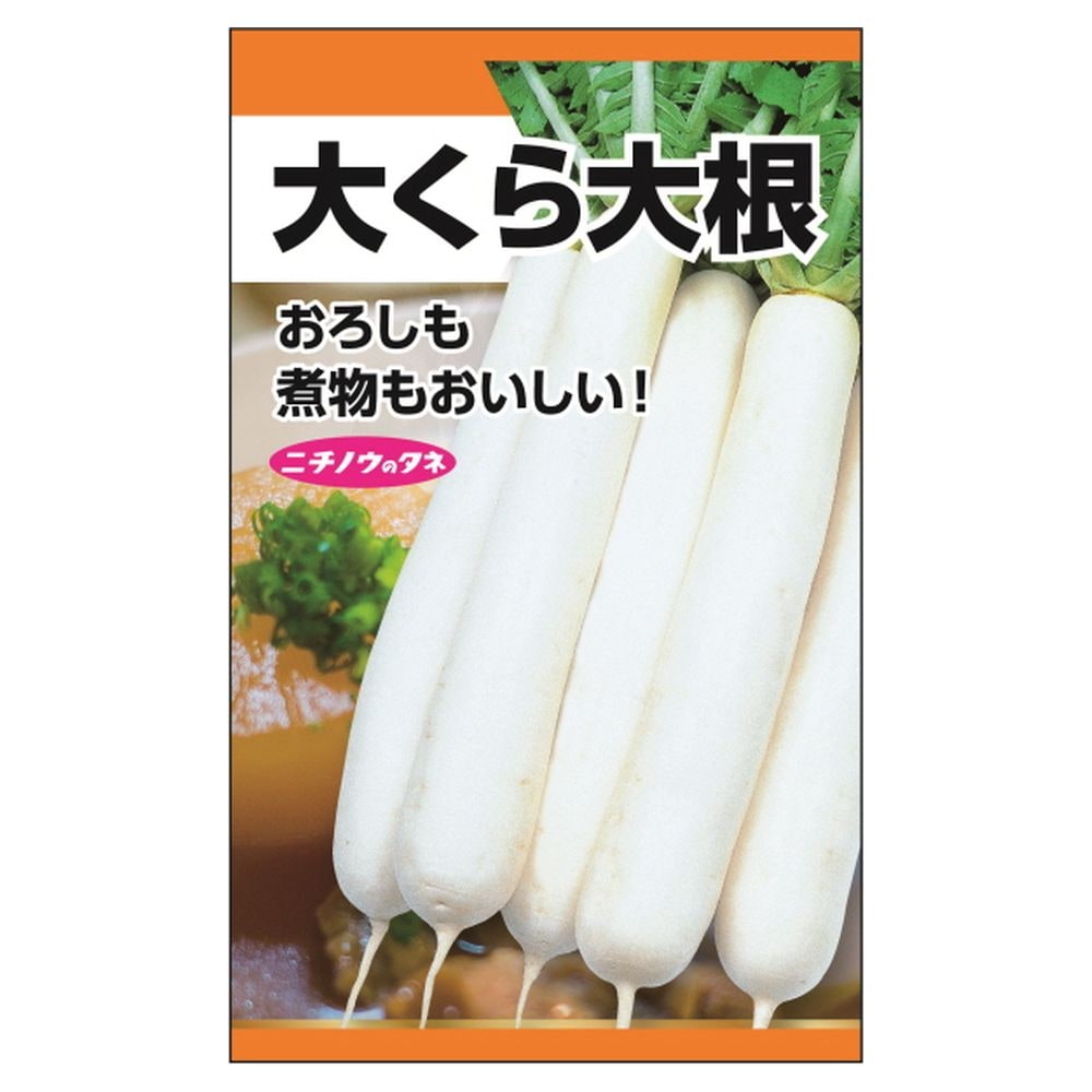 大根 大くら大根 1