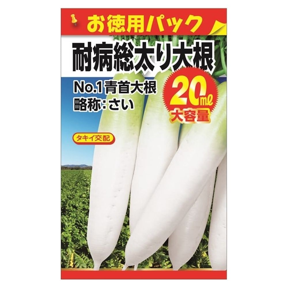 大根 タキイ交配 耐病総太り 