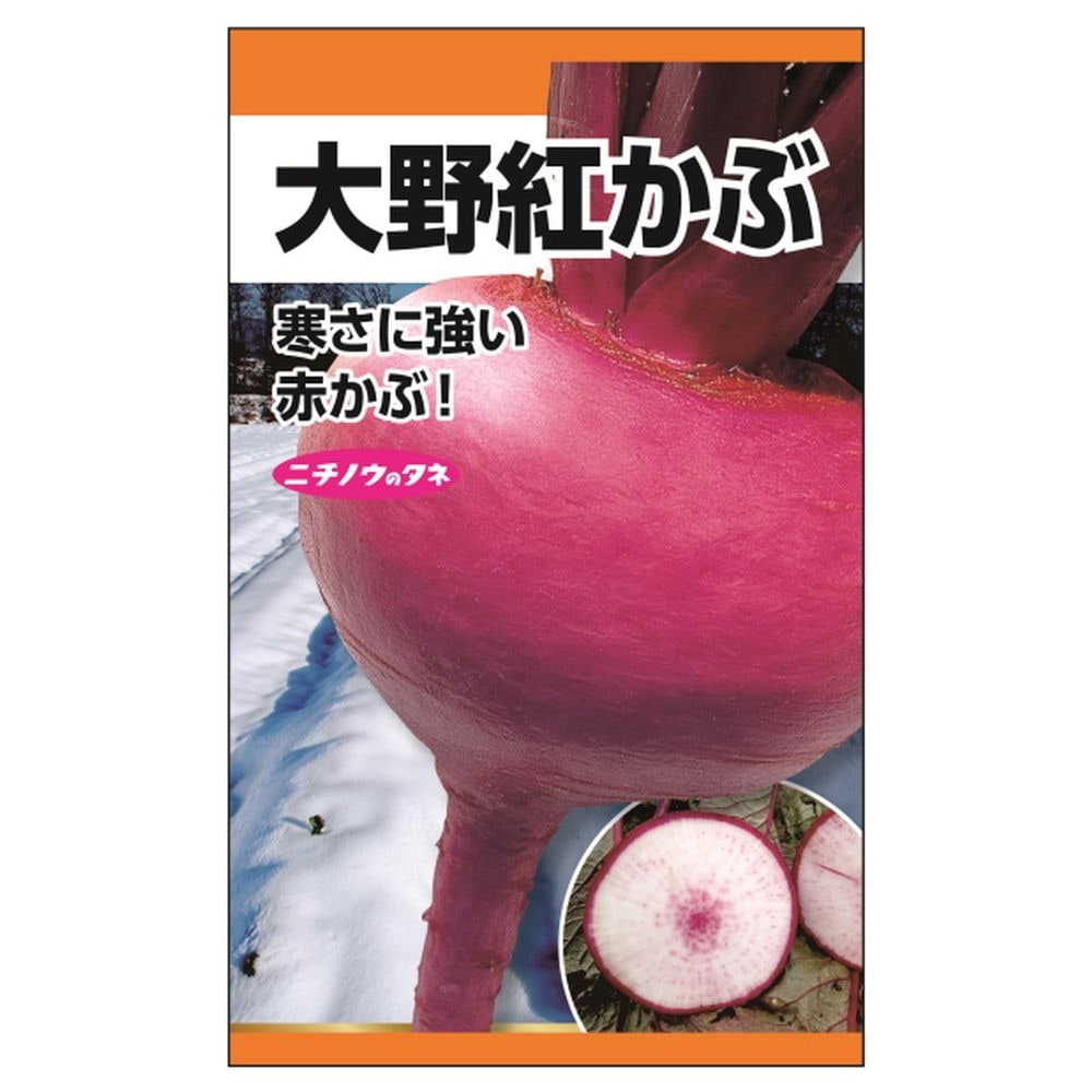 かぶ 大野紅かぶ 