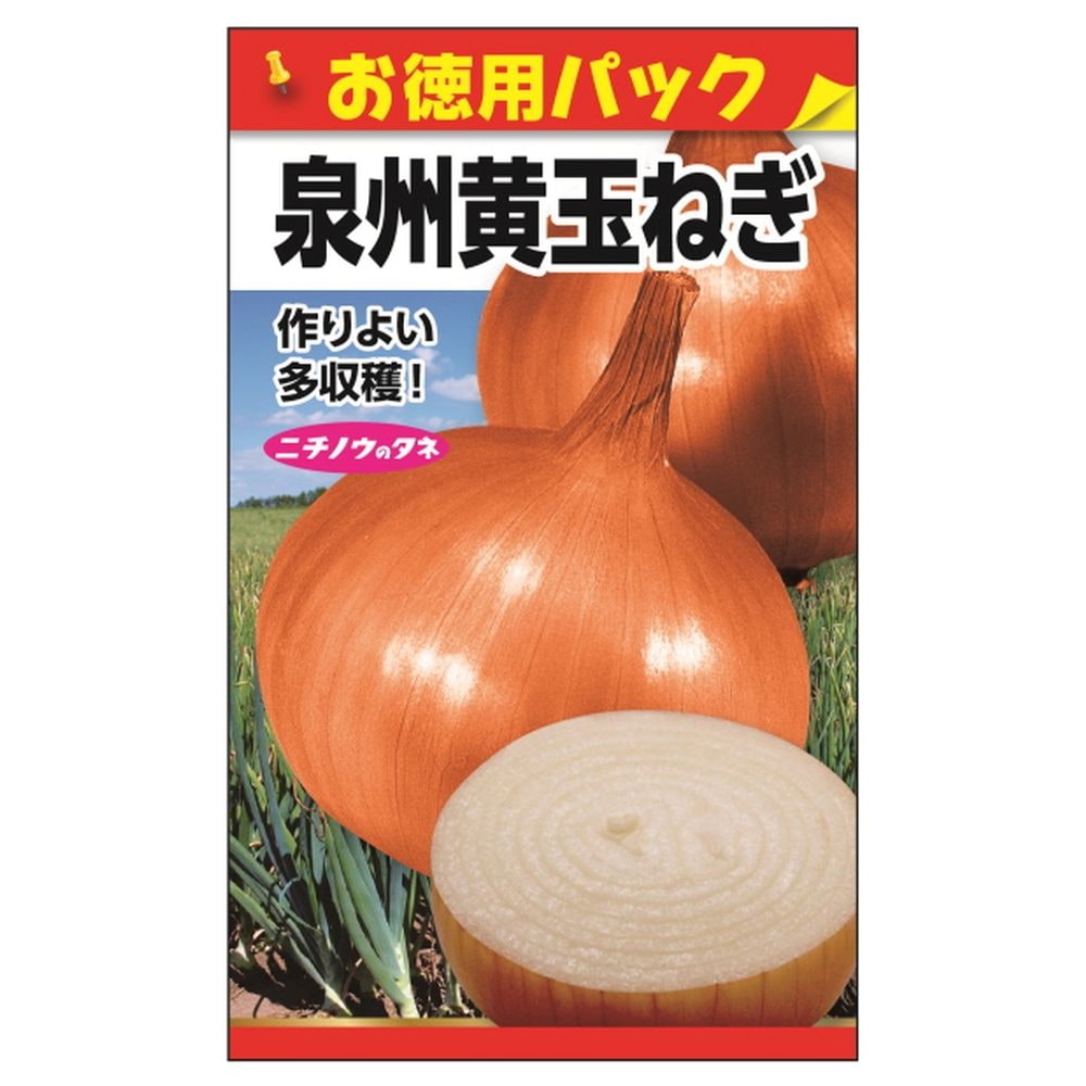 たまねぎ 泉州黄玉ねぎ 