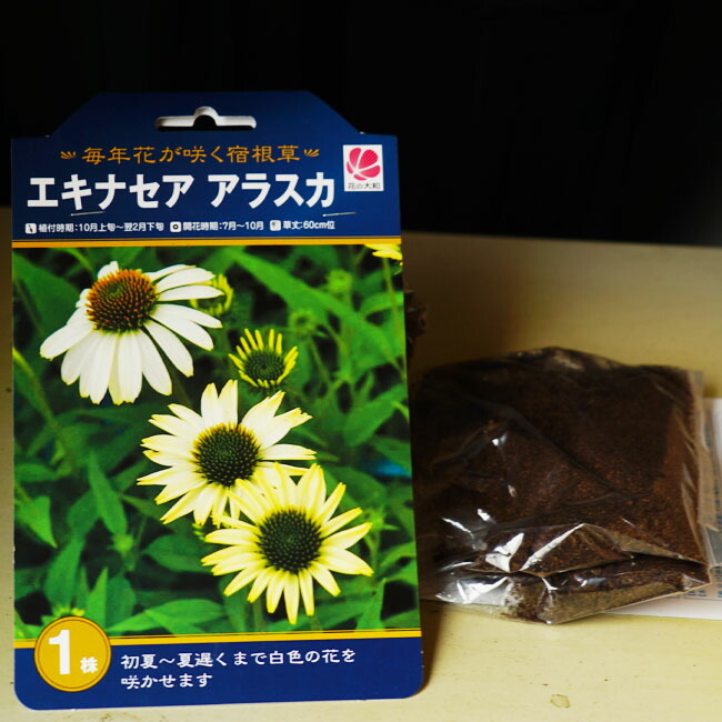 エキナセア アラスカ 絵袋入りの宿根草球根