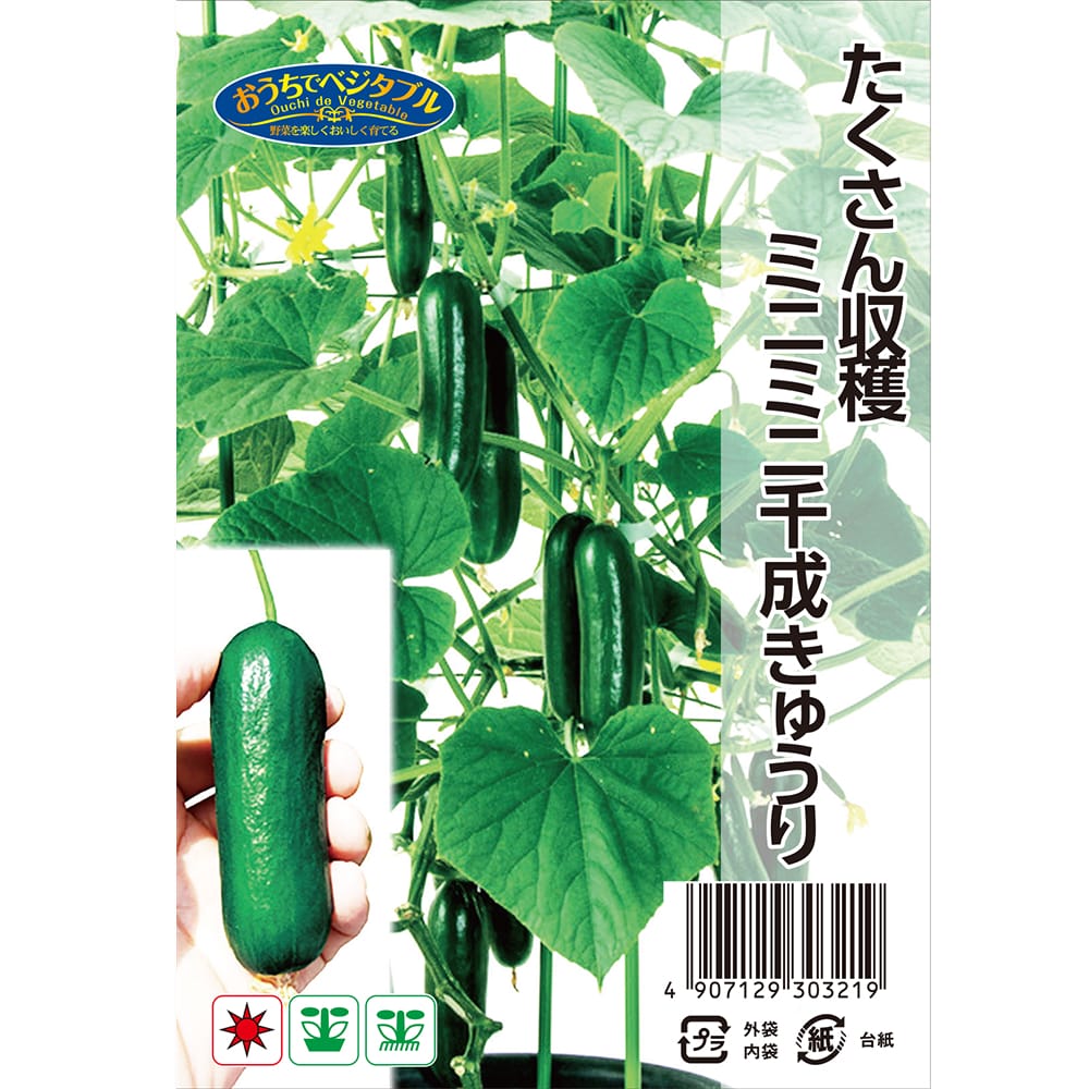 きゅうり ミニミニ千成キュウリ 