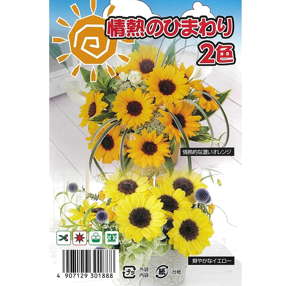 ひまわり 情熱のひまわり 