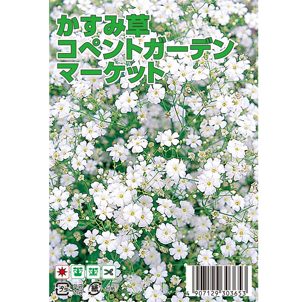 カスミソウ コペントガーデンマーケット 