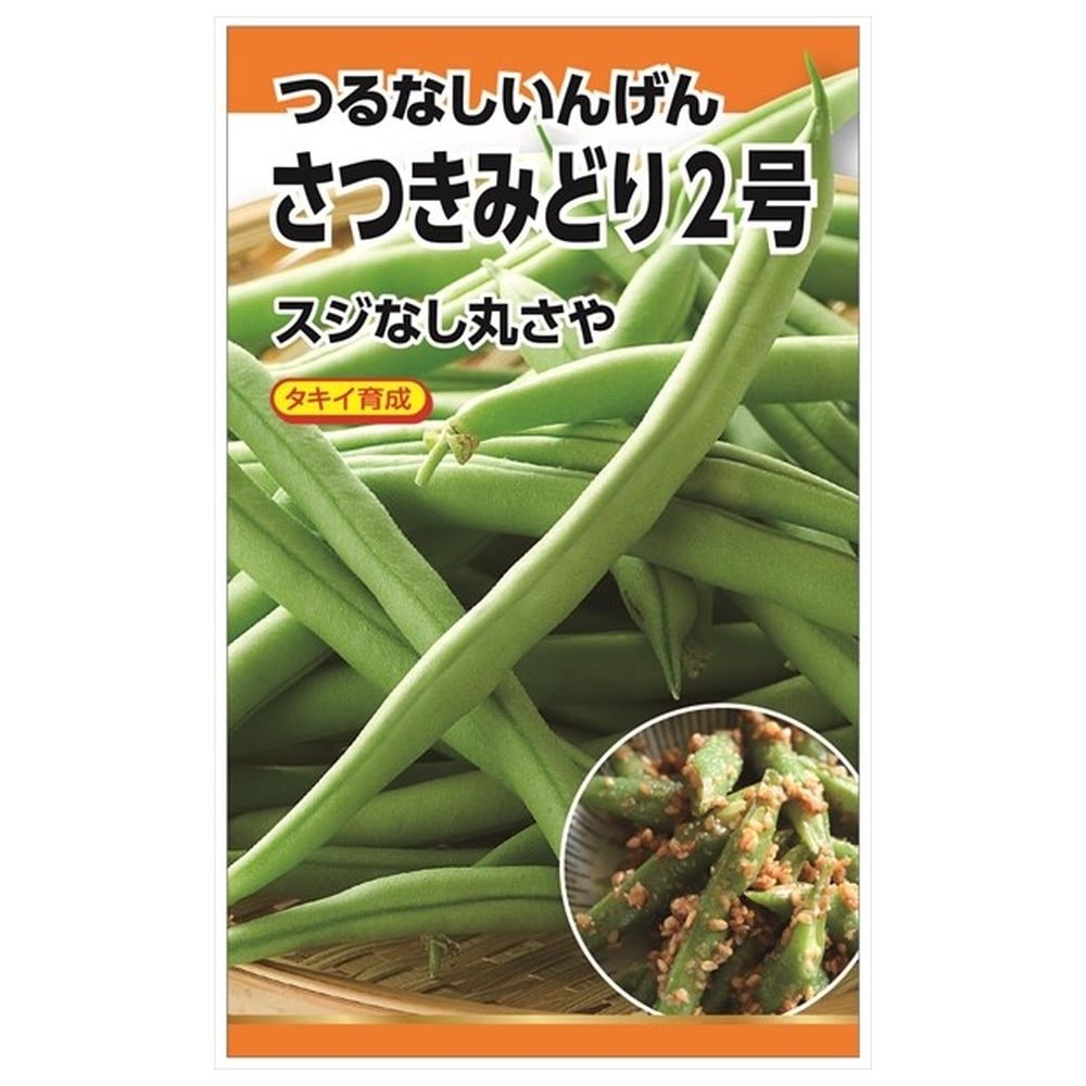 いんげん さつきみどり2号(つるなしいんげん) 