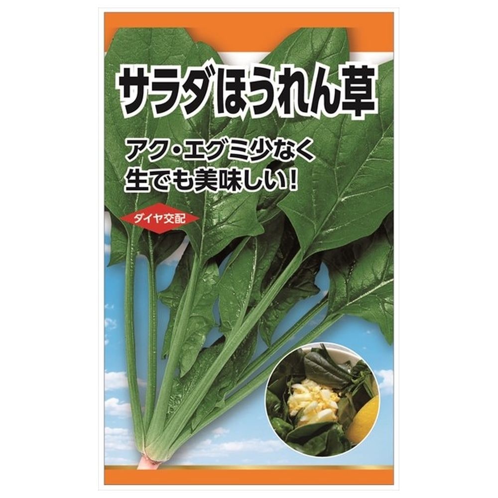 ホウレンソウ サラダ法蓮草 