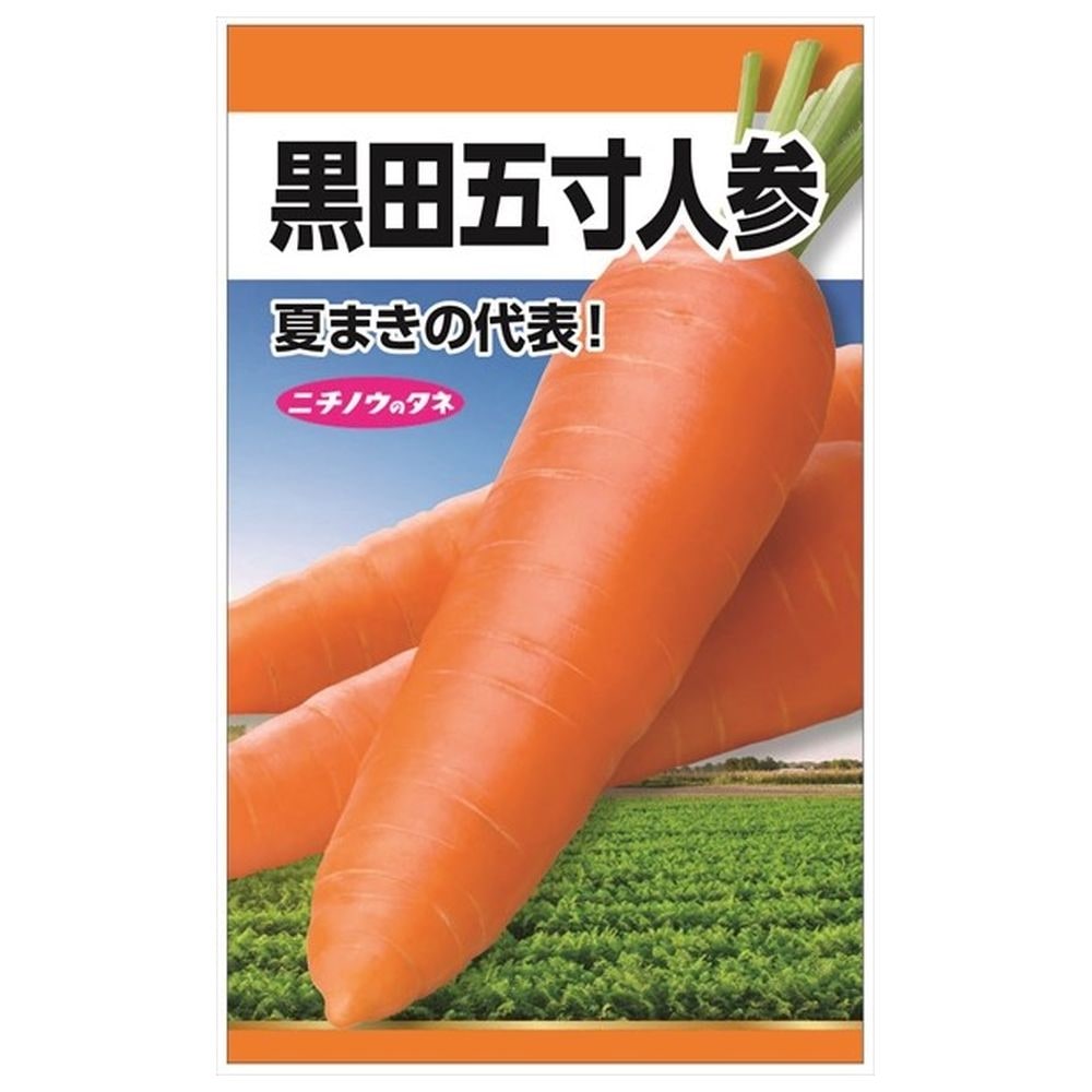 にんじん 黒田五寸人参 