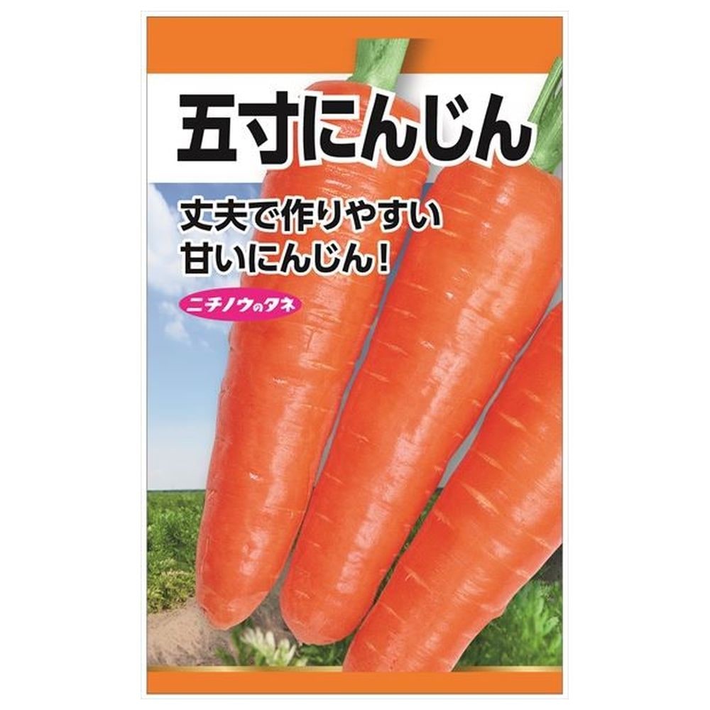 にんじん 五寸にんじん