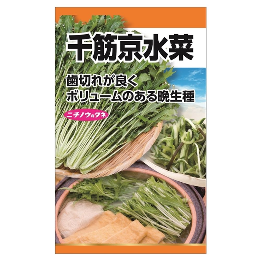 冬菜 千筋京水菜 1