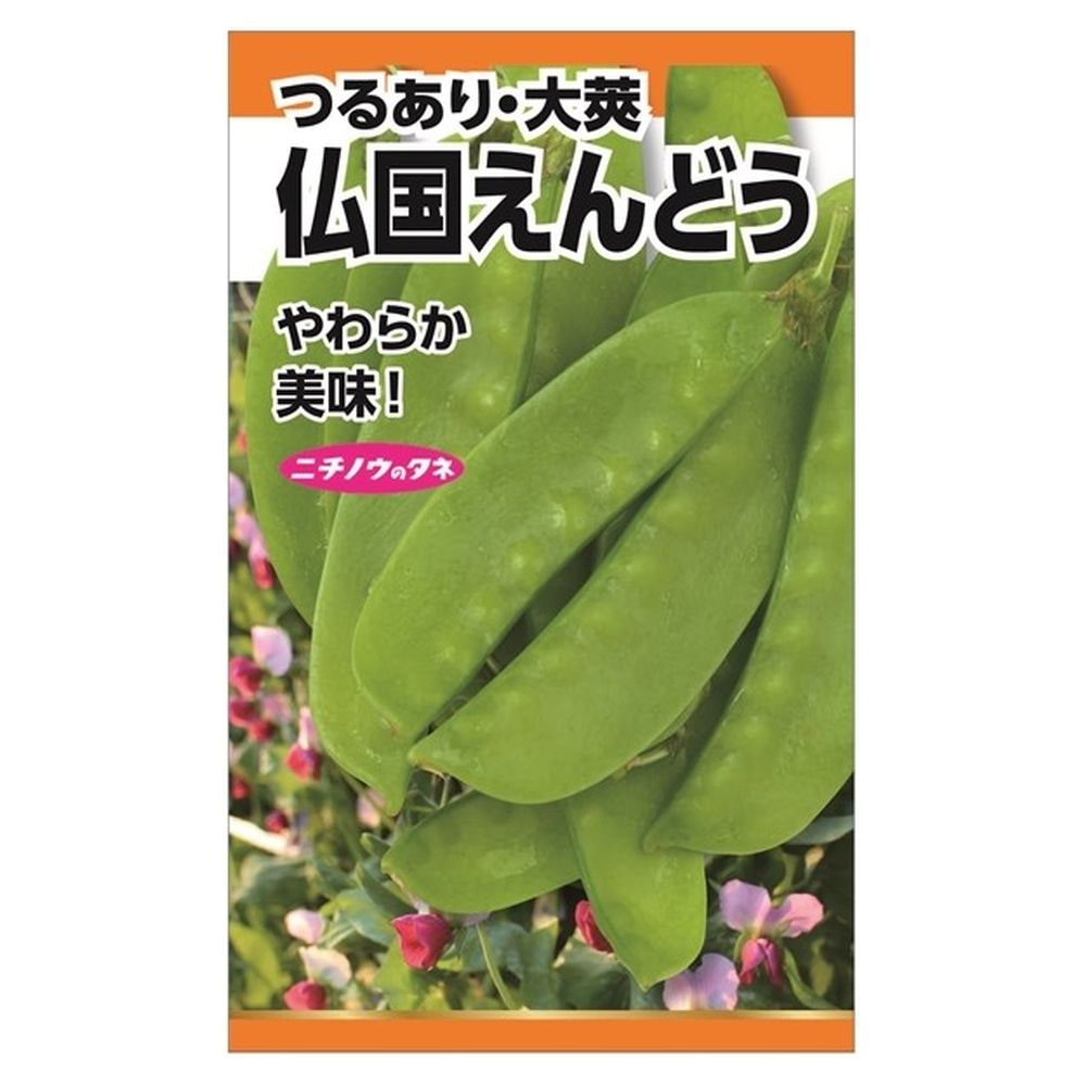 えんどう 仏国えんどう(つるあり・大莢) 1