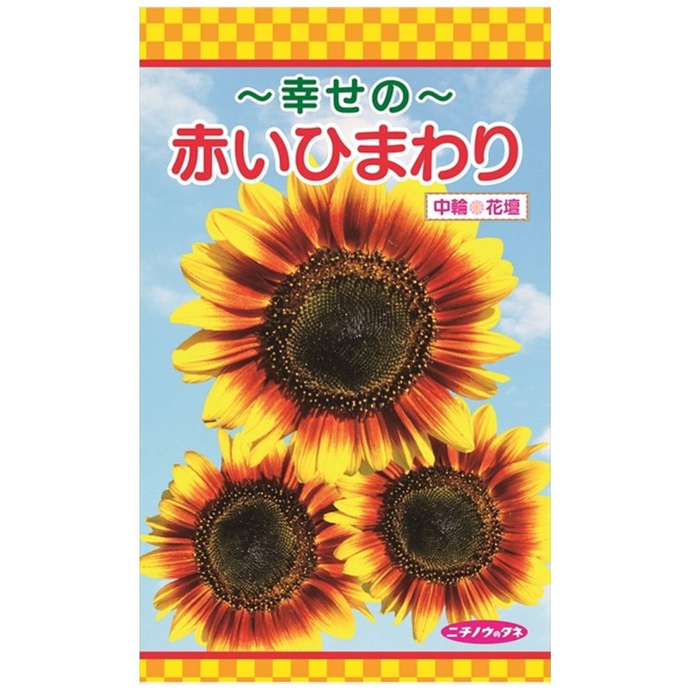 ひまわり 幸せの赤いひまわり 
