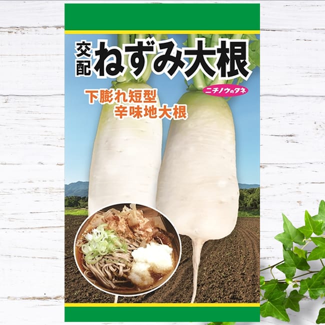 大根 交配ねずみ大根 