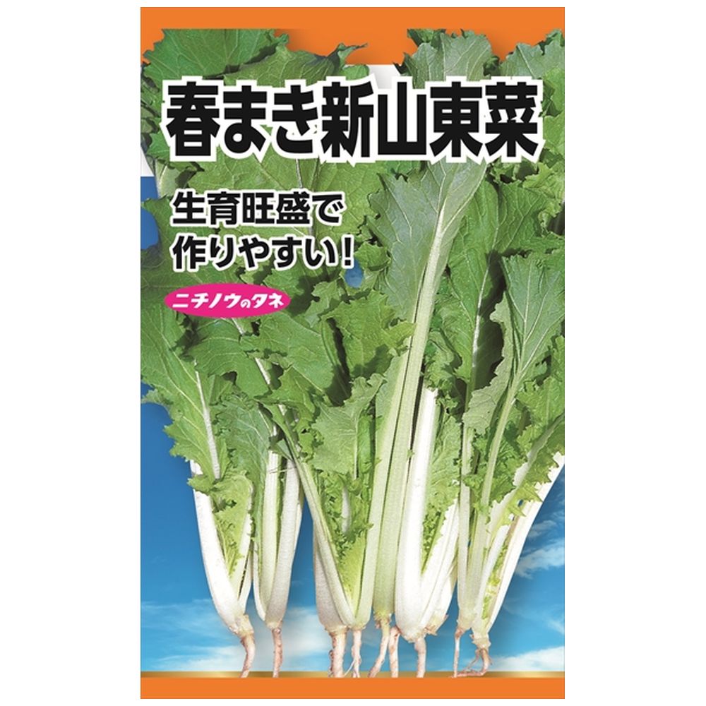 白菜 春まき新山東菜 