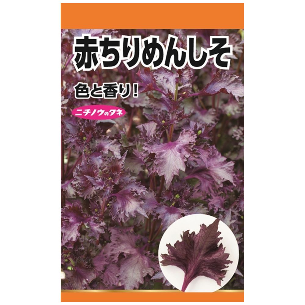 しそ 赤ちりめんしそ 