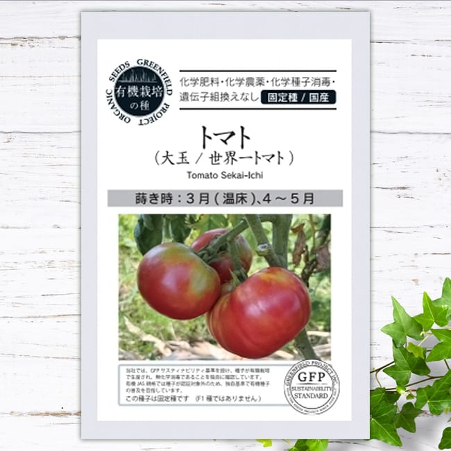 トマト 世界一トマト 